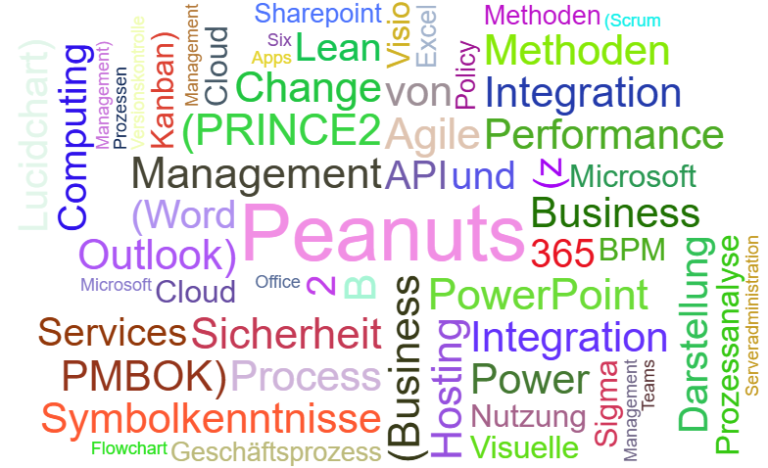 Peanuts Hosting
Serveradministration
Datenbankmanagement
API-Integration
Versionskontrolle
Cloud-Computing
Geschäftsprozess (Business Proces